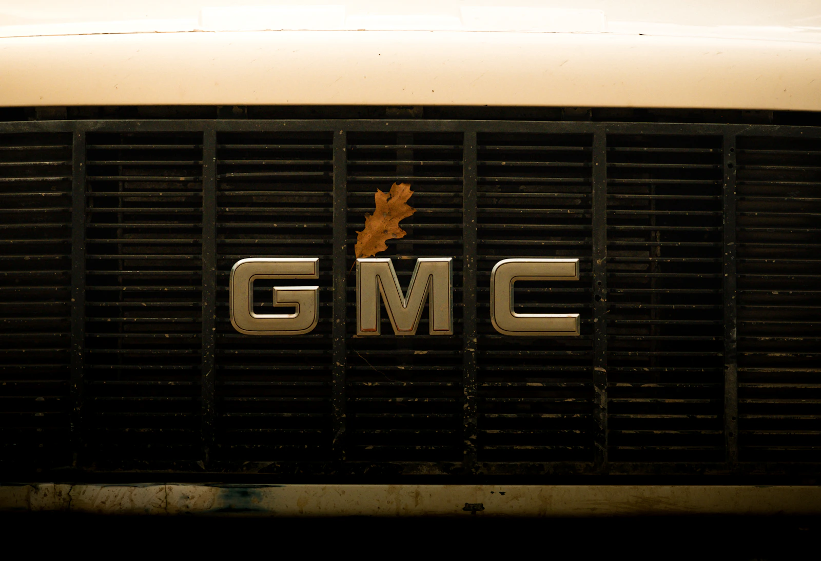 Close-up of a car's front grille
